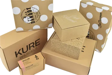 Экспресс-доставка Коробки  Zwijnaarde BE